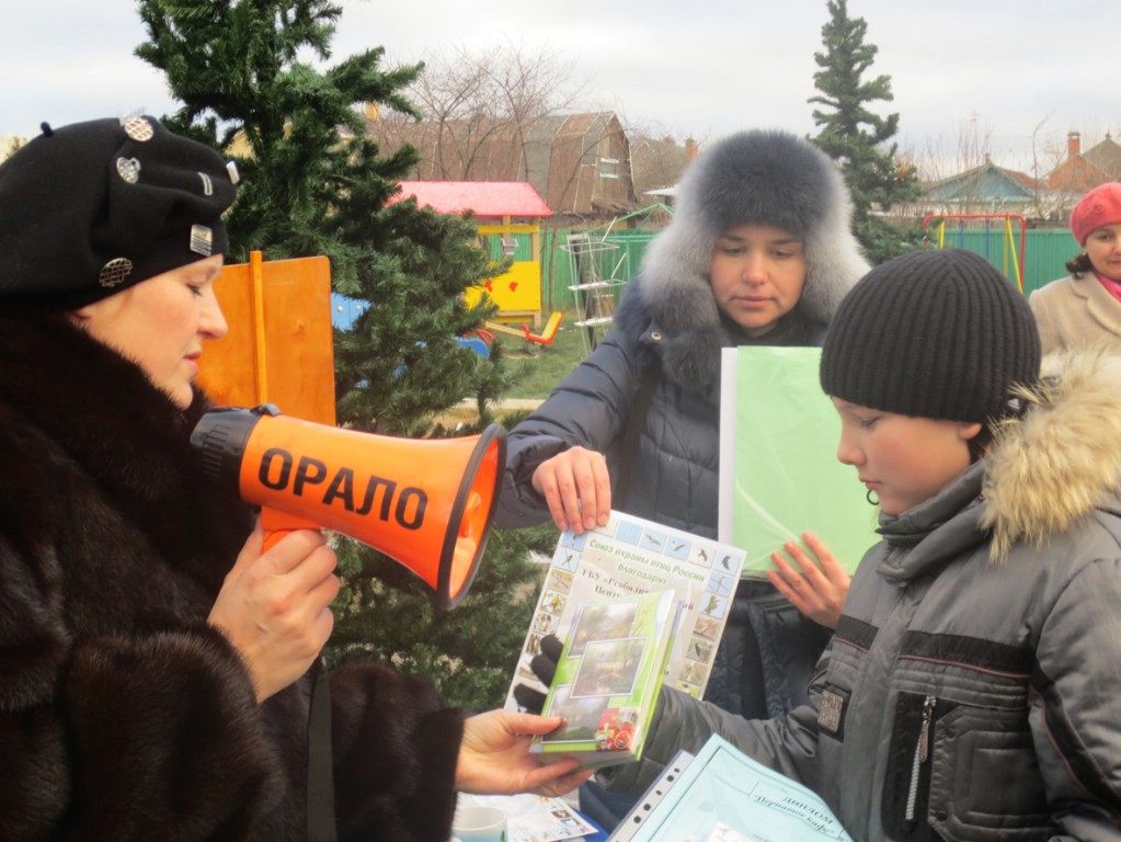 ����������� 257.jpg